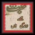 Mohabbat 01 * 22.03.2008 * 233 x 795 * (36KB)